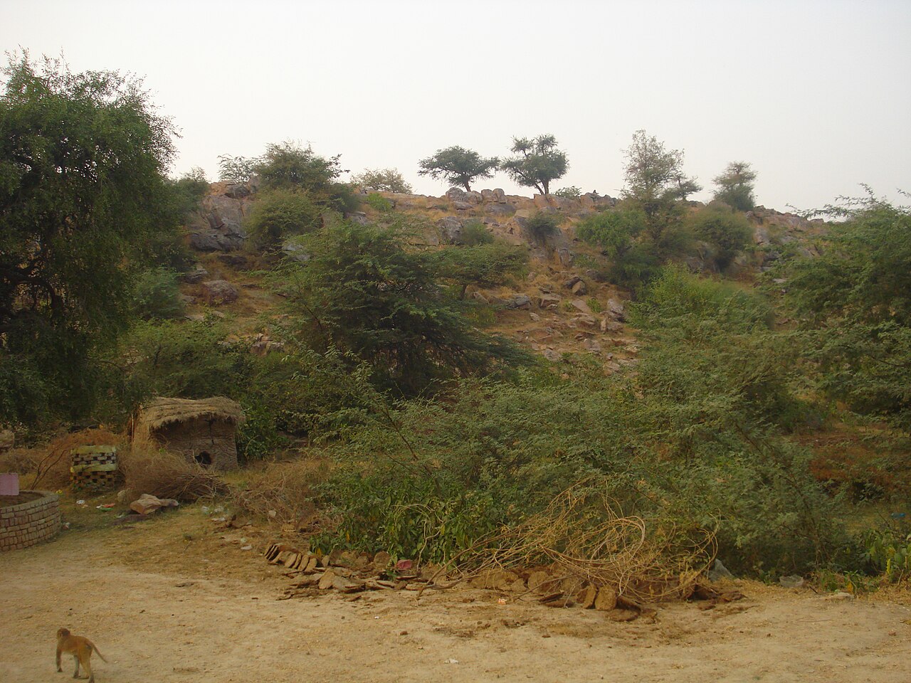 Govardhan Dham